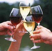 To reserve your Traverse Bay Inn FUN vacation package today please call 800-968-2646!